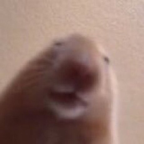 drakeclap gif étoile xxx img