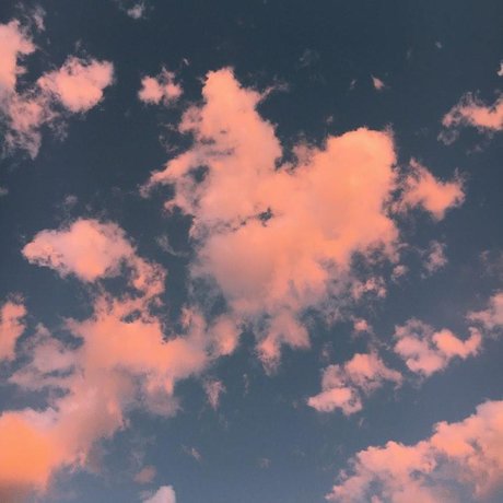 filles noires aux gros culs onlyfans chaud sympa photo