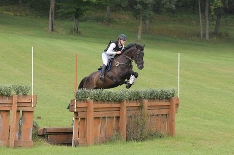 randchad étoile adulte galeries