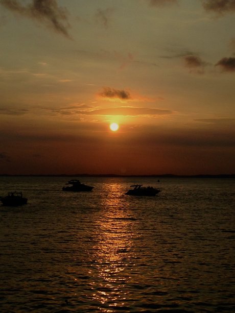 Murilo Marques nus star du porno img