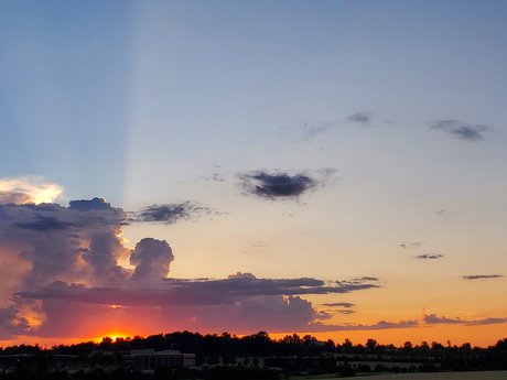 Peach Buzz actrice libre archive