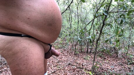 Rick Bear Pup Dancer art étoile des photos