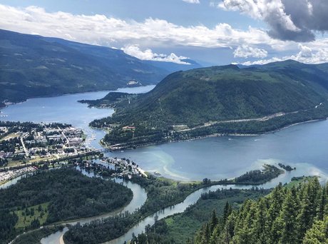 Stiffy modèle joli img