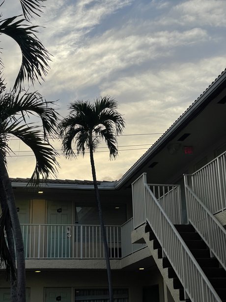 The Homoscorpion actrice pornographique image