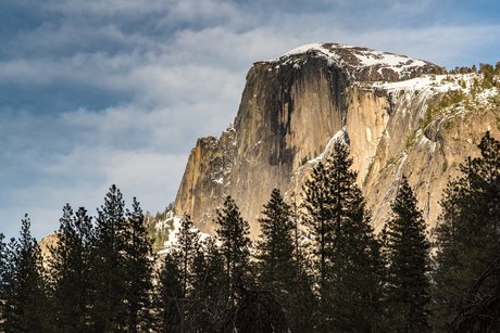 shine mannequin image