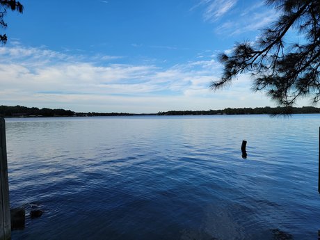 TazDevil69 art star du porno archive