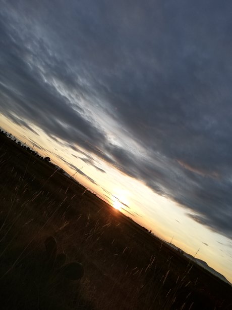 Carlos Daniel S nchez Estrada art étoile photo