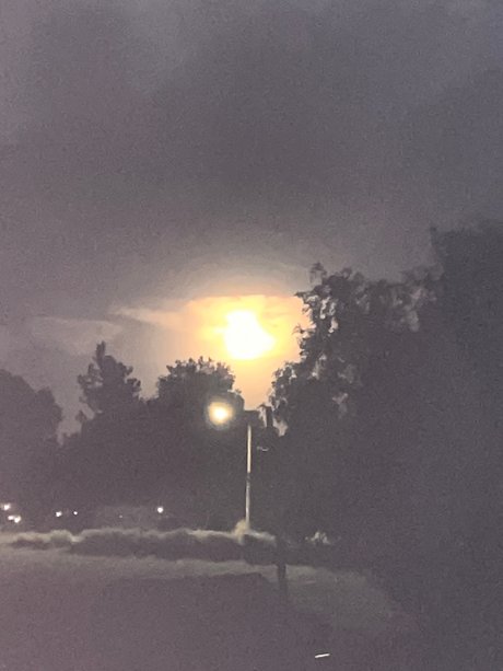 Talented 42h0e joli modèle galeries