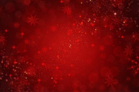 Estefany Amorim haut modèle galerie