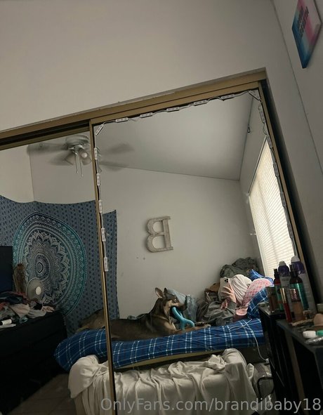 brandibaby18 jolie star du porno photos