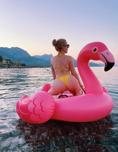 bon b0n star du porno adulte collection