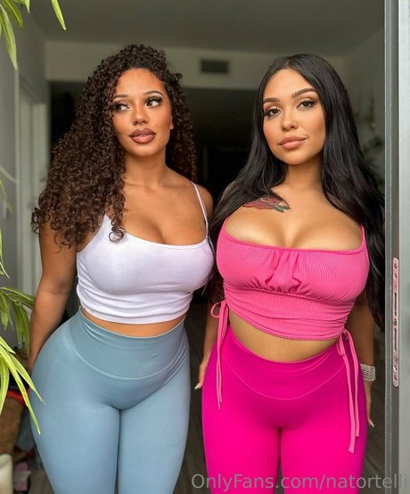 natortelli star pornographique img