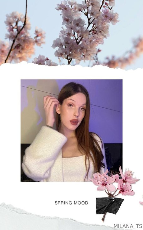 milana ts étoile magnifique collection