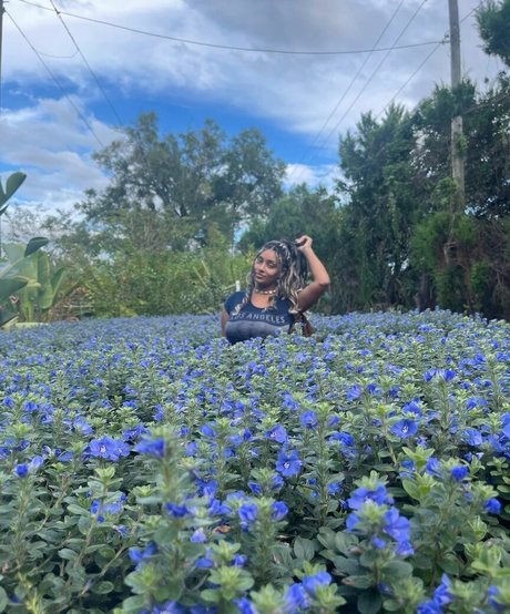 Plantbae modèle de haute qualité images