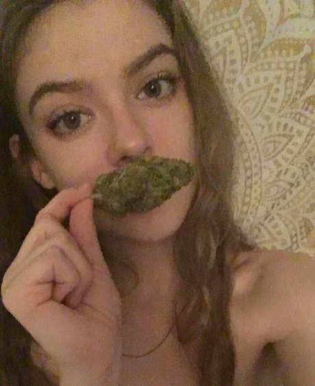 Rose Castella étoile archive