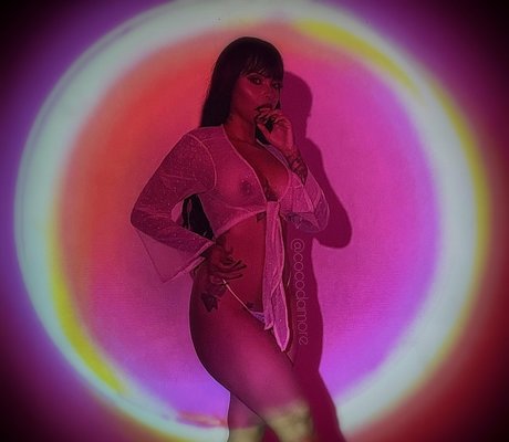 Cocodamore actrice exclusive img