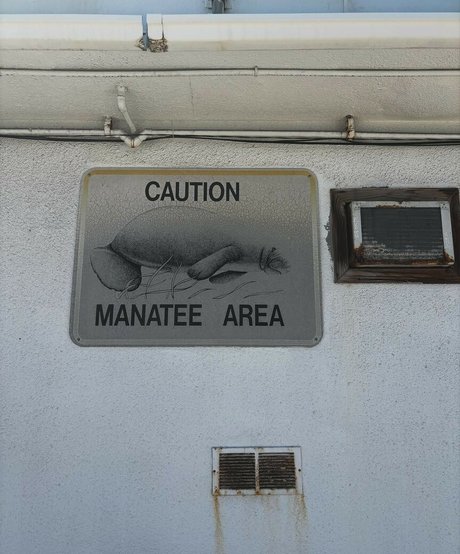 Hanna Luukkonen modèle meilleur photo