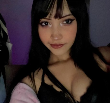 understab modèle magnifique archive