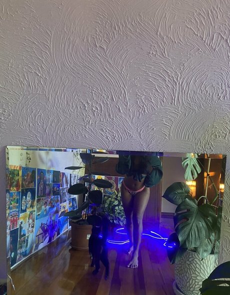 Miaz1234 étoile chaude collection