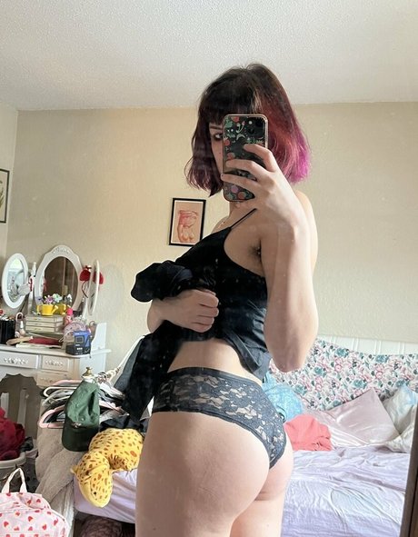 _fullyfaith étoile gratuite photo