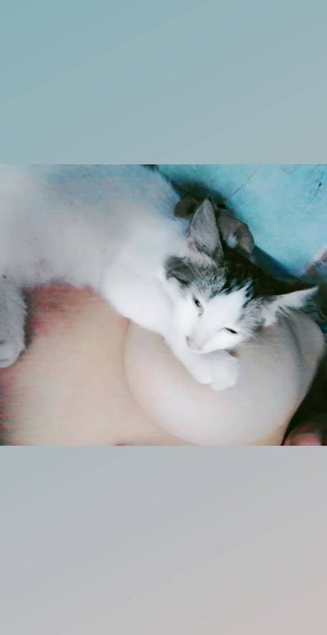 Luna Drei actrice nue archive