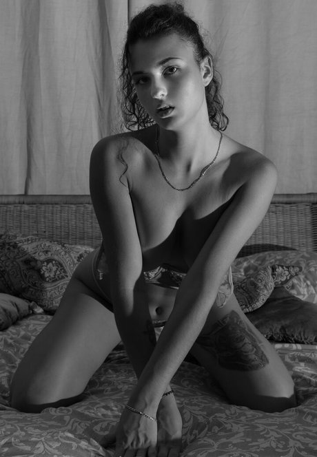 fans de transexuelles uniquement art sympa photo