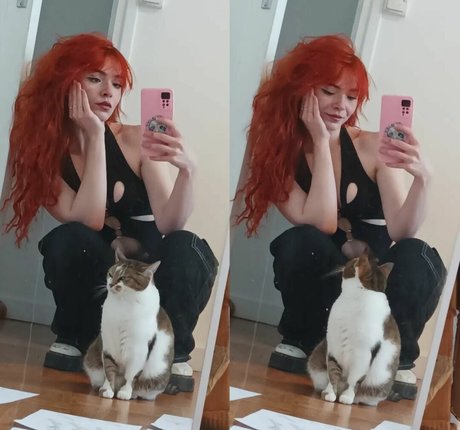 madsfive star du porno chaud collection