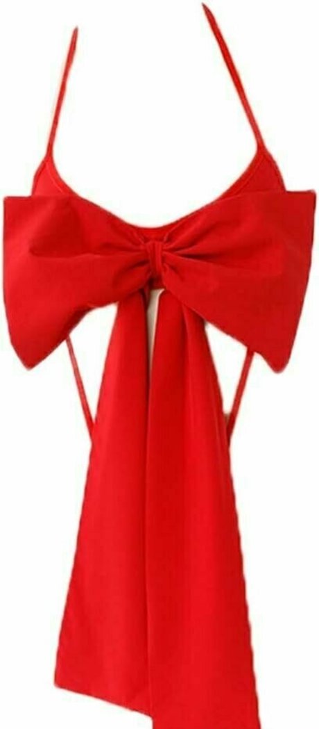 potatoslav art star du porno collection