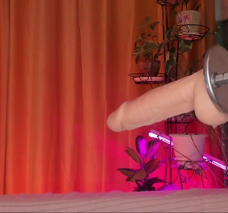 Aplaceforustodream sexe de star du porno des photos