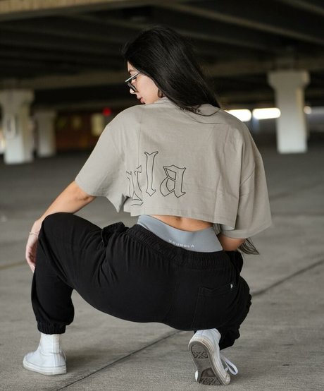 flexwness top star image