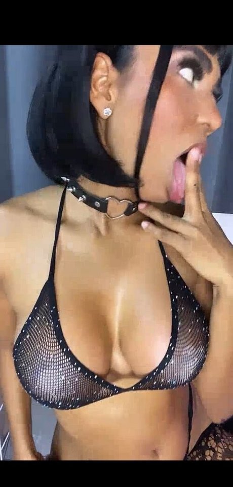 Sandy Mendoza belle star du porno collection