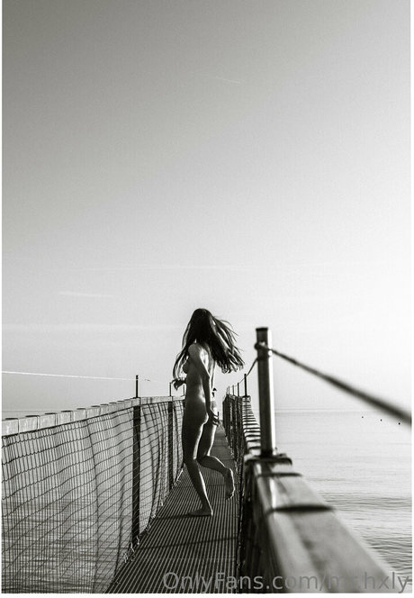 mr hxly haut étoile galeries