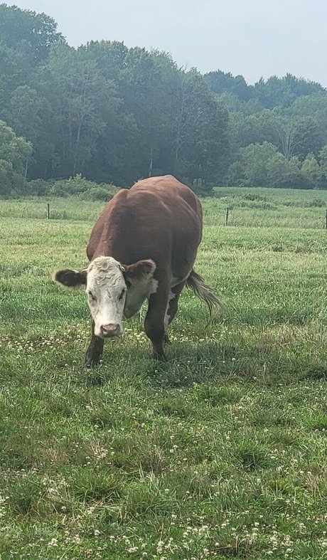 nellebeachgirl art modèle galerie