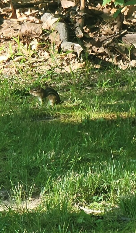 nellebeachgirl modèle galeries