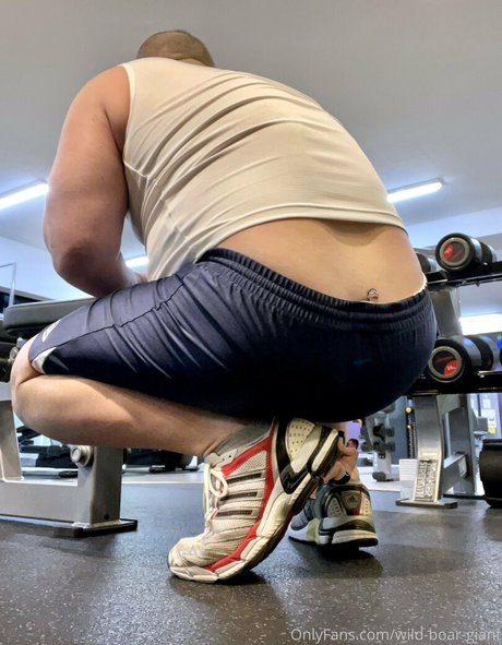 wild boar giant Profilfoto