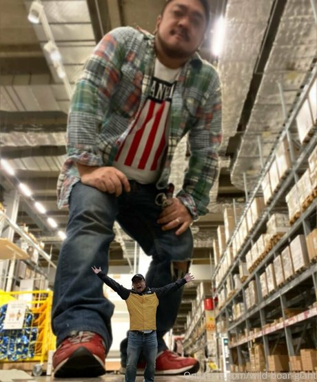 wild boar giant star du porno parfaite img