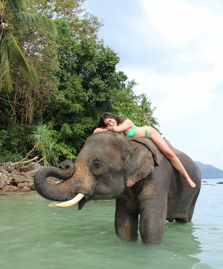 fellation sur la plage onlyfans beau nu photo