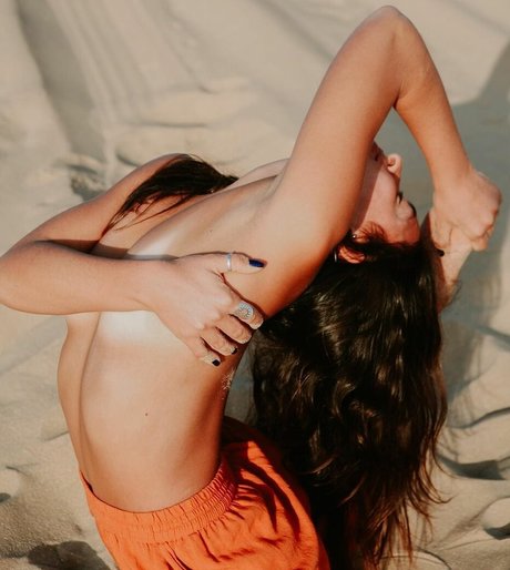 Bar Levy haut modèle photos