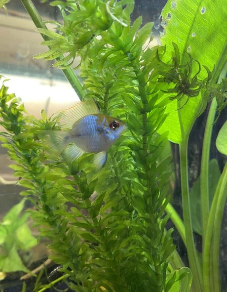 putain de bbc onlyfans xxx pornographique collection