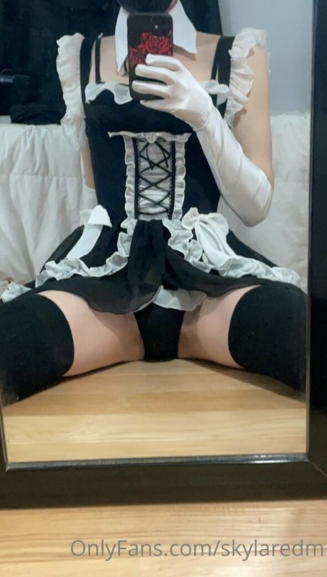 skylaredm haut étoile galeries