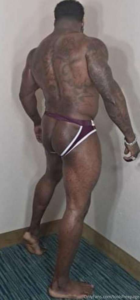 toolsfreepage joli modèle galerie