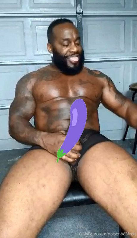 toolsfreepage Profilfoto