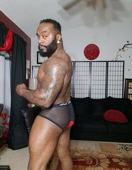 toolsfreepage jolie étoile galerie