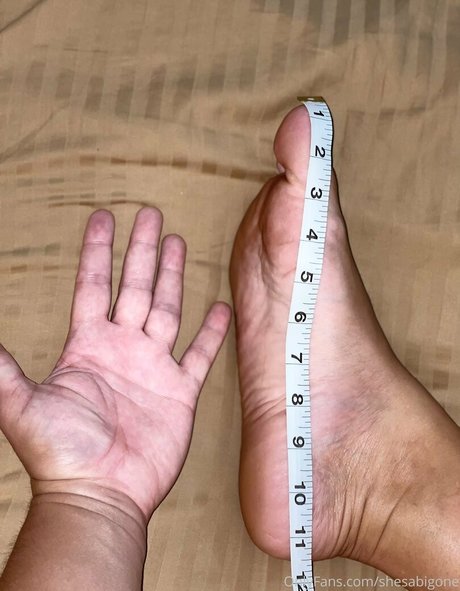 shesabigone star pornographique collection