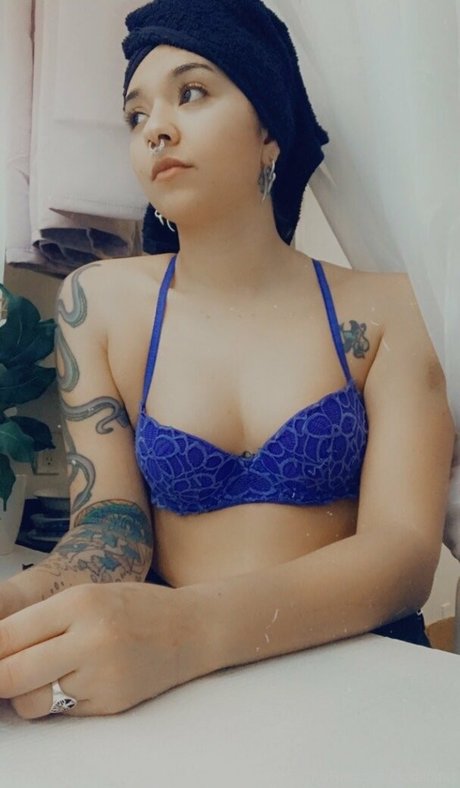 acidaddict star du porno sympa collection