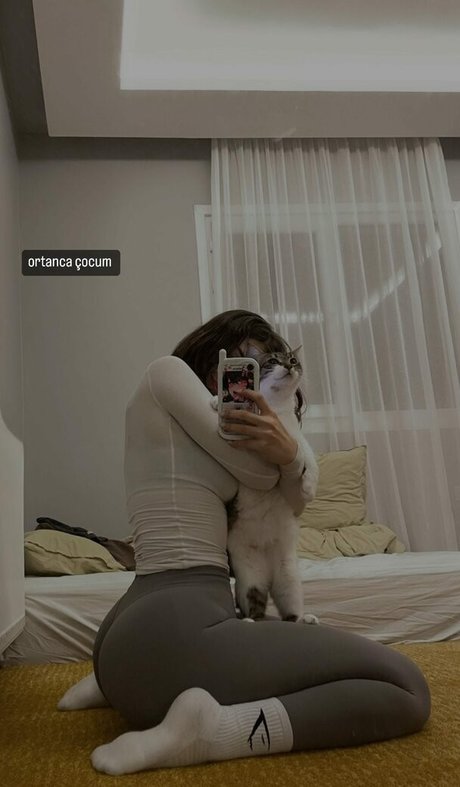 ryydachan étoile chaude image