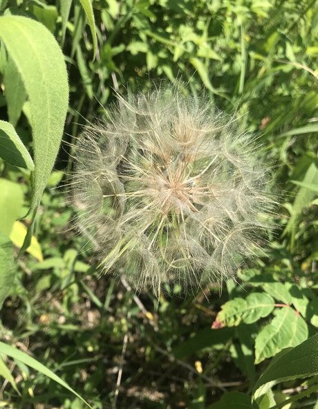 harperlane actrice artistique image