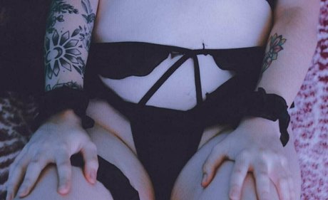 gatoverguero modèle meilleur img