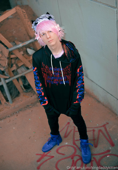 kingdaddykitten Fotoaufnahmen