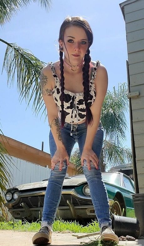 lilydarkofree top star image